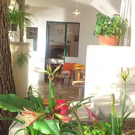 Jakirusa 3 Accommodation 3* Brela